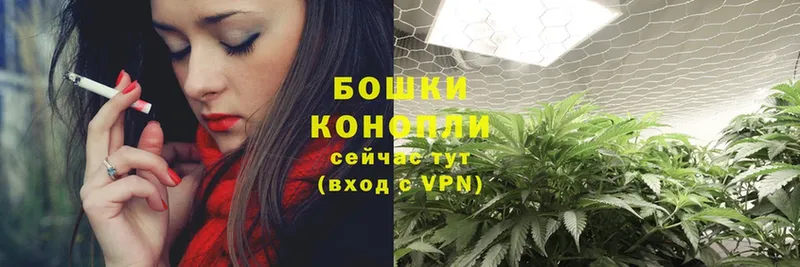 Шишки марихуана Ganja  Нестеров 